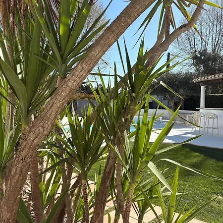 Avec Piscine Et Jacuzzi Proche De La Vila